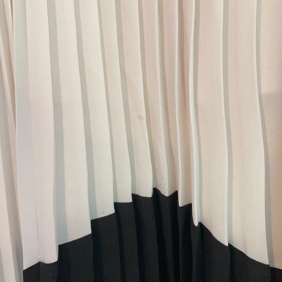 EXPRESS Skirt - Picture 4 of 8